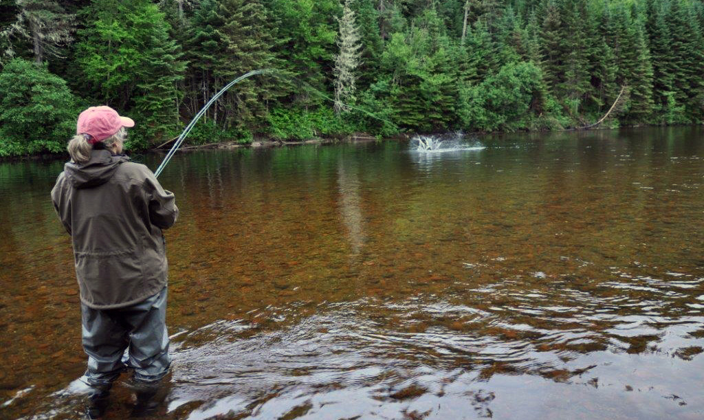 Le Ministère veut favoriser la conservation du saumon atlantique