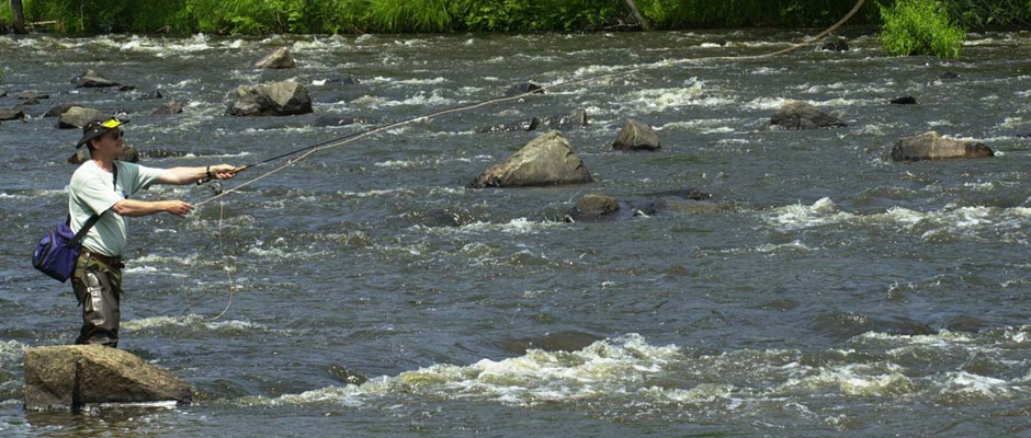 Fermeture de la pêche dans un secteur de la rivière Saint-Maurice