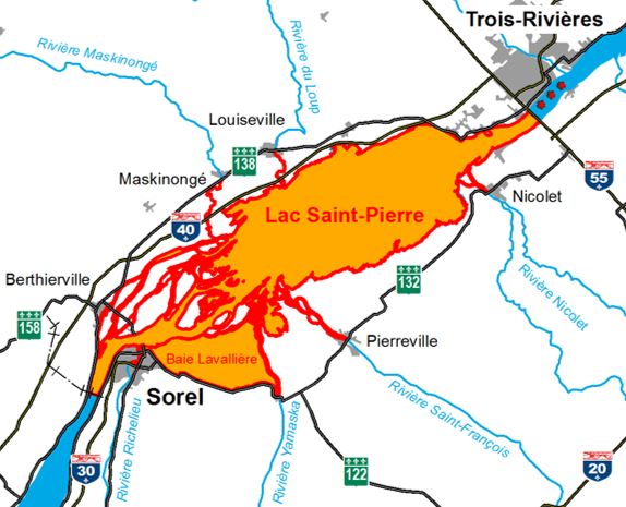 Prolongation du moratoire sur la pêche à la perchaude au lac Saint-Pierre