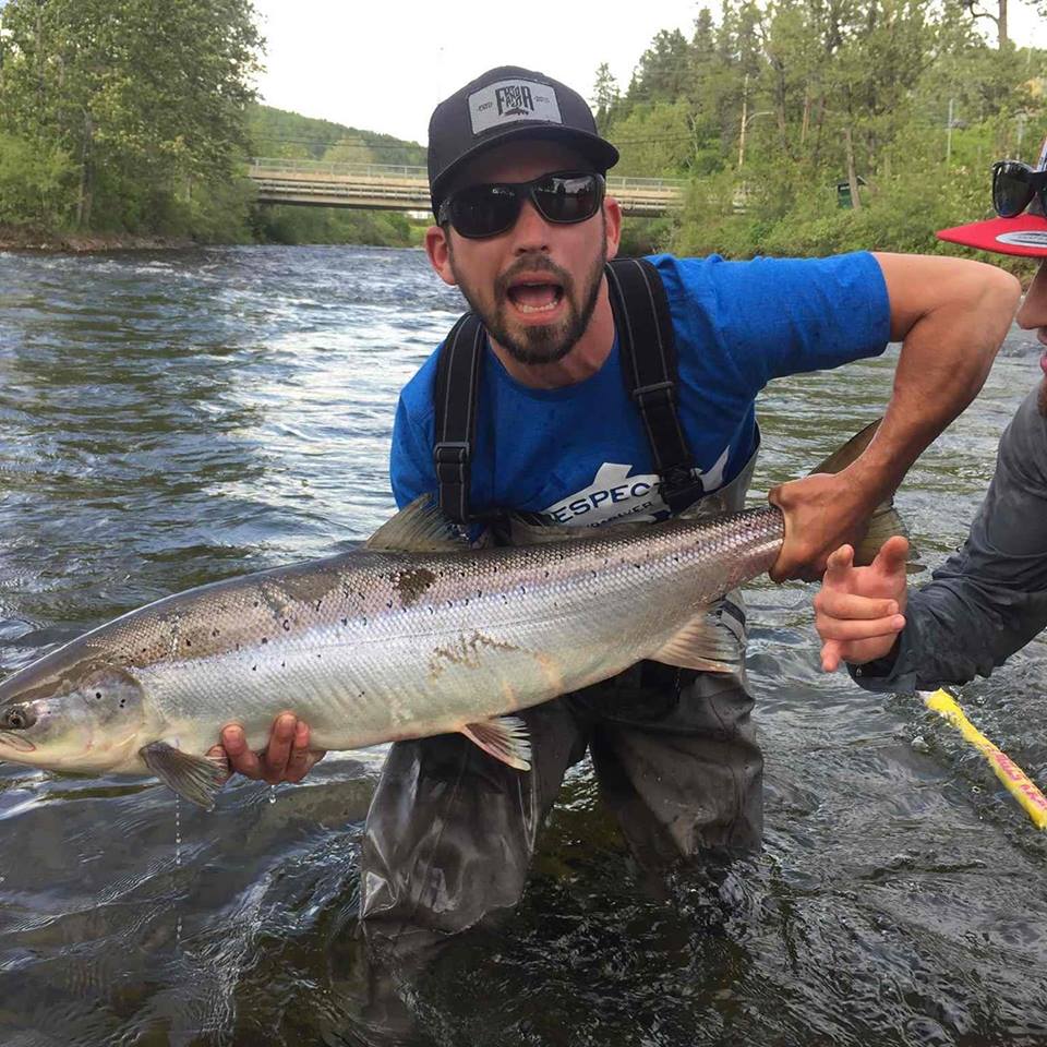 Le saumon boude les rivières de la Côte-Nord et la Gaspésie