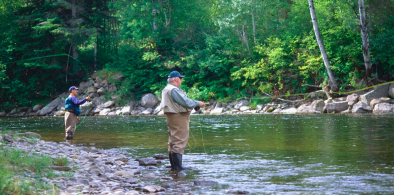 Remise à l’eau obligatoire des grands saumons dans la rivière York 