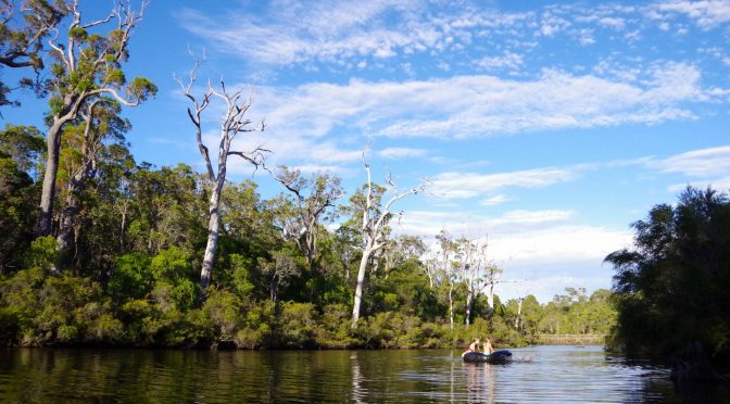 Histoire de pêche sur une rivière d'Australie