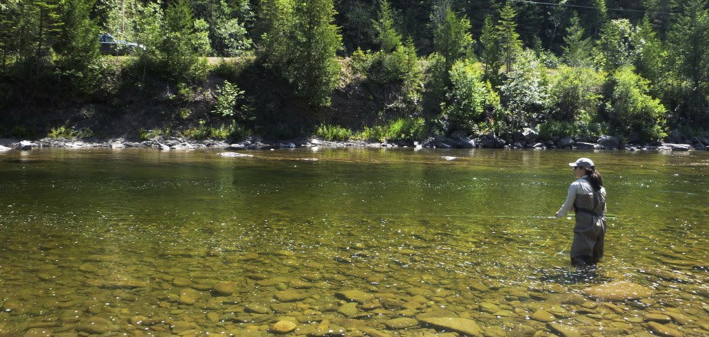 Québec injecte 7,5 M$ pour développer la pêche du saumon atlantique